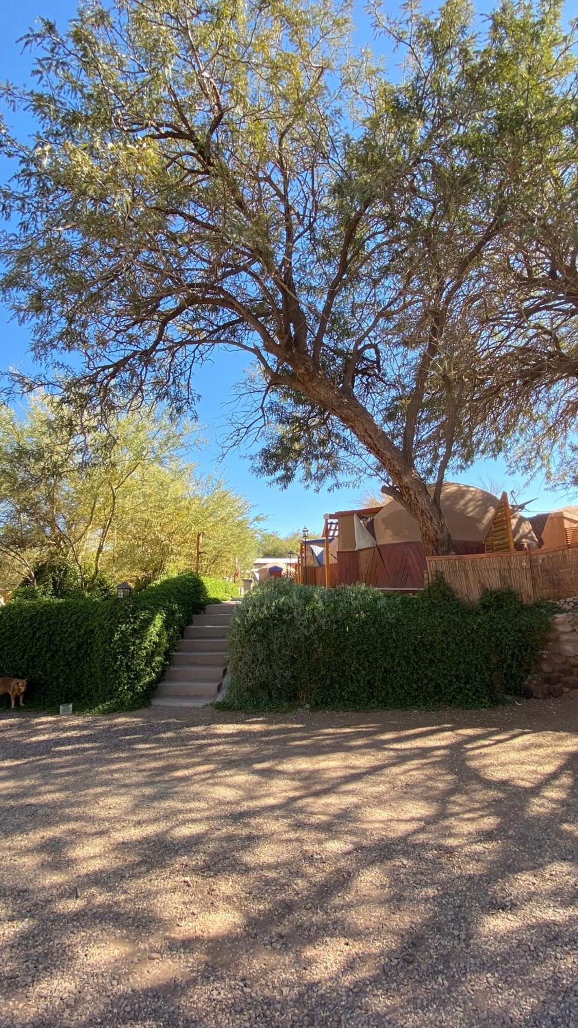 San Pedro Domos Villa San Pedro De Atacama Esterno foto